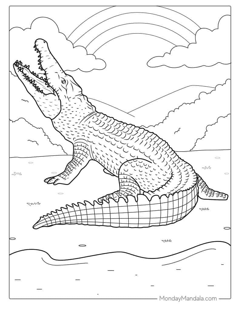 25 Crocodile Coloring Pages (Free Pdf Printables) regarding FREE Printable Crocodile Colouring Pages