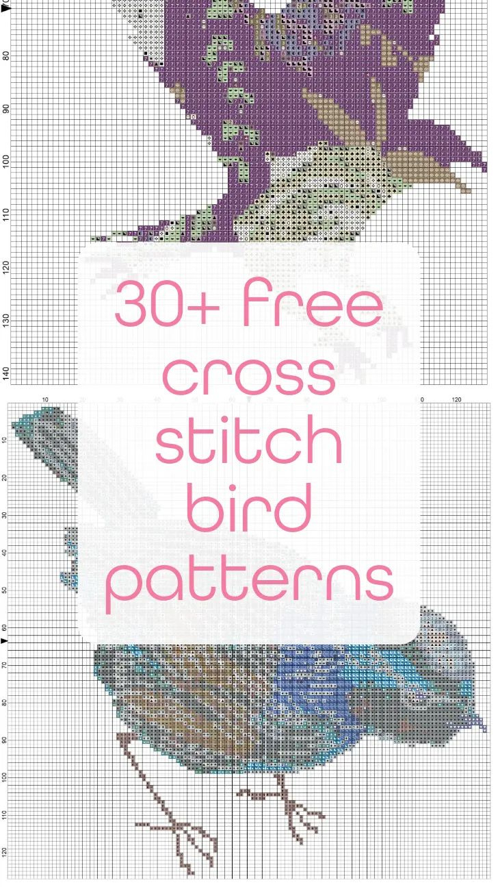 30+ Free Cross Stitch Bird Patterns regarding Free Printable Cross Stitch Patterns For Beginners