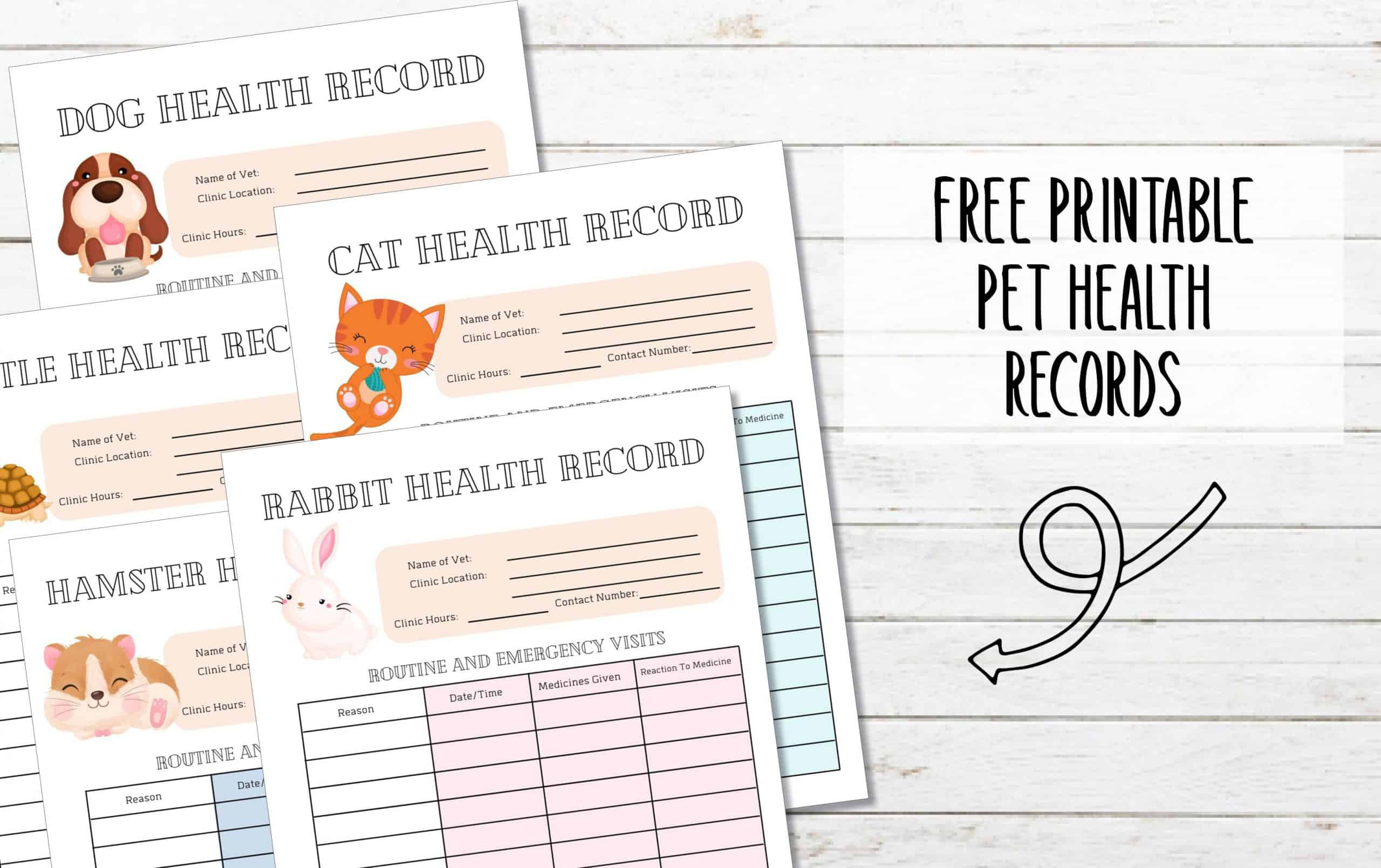 5 Free Printable Pet Health Record Sheets - My Printable Home throughout Free Printable Cat Health Record