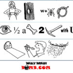 7 Concentration Puzzles Ideas | Rebus Puzzles, Picture Puzzles intended for Free Printable Concentration Classic Concentration Puzzles