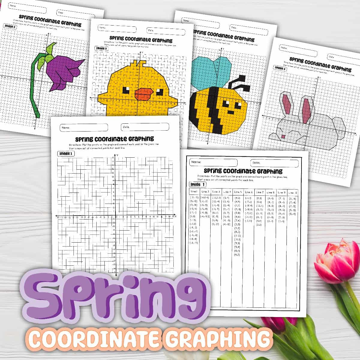 8 Free Pdf Coordinate Graphing Picture Worksheets regarding FREE Printable Coordinate Graphing Pictures Worksheets
