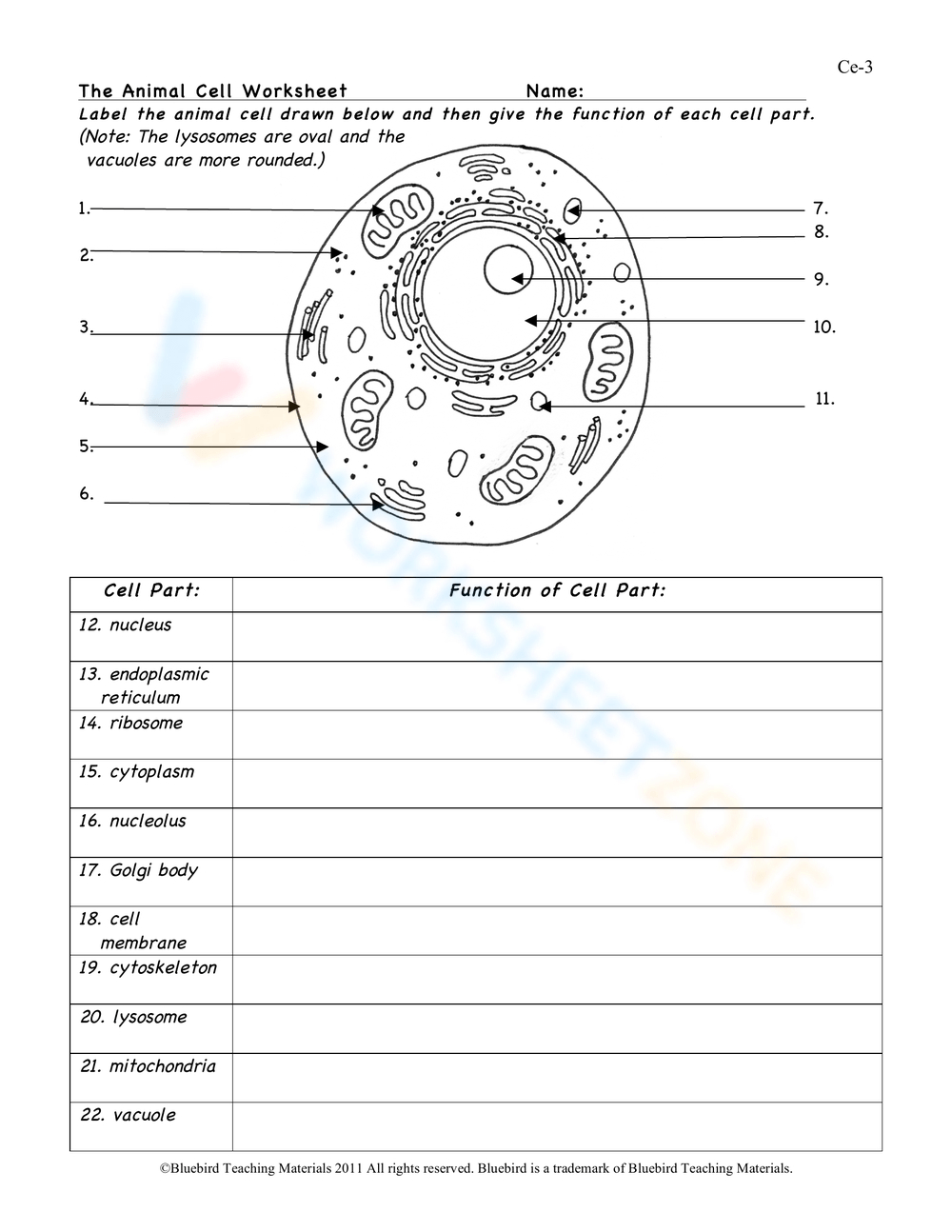 Animal Cell Worksheets &amp;amp; Printable within FREE Printable Cell Diagram to Label