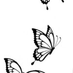 Butterfly Drawing Outline And Tattoo Stencil for Free Printable Butterfly Tattoo Designs