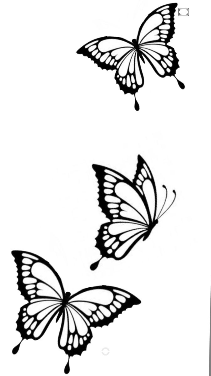 Butterfly Drawing Outline And Tattoo Stencil for Free Printable Butterfly Tattoo Designs