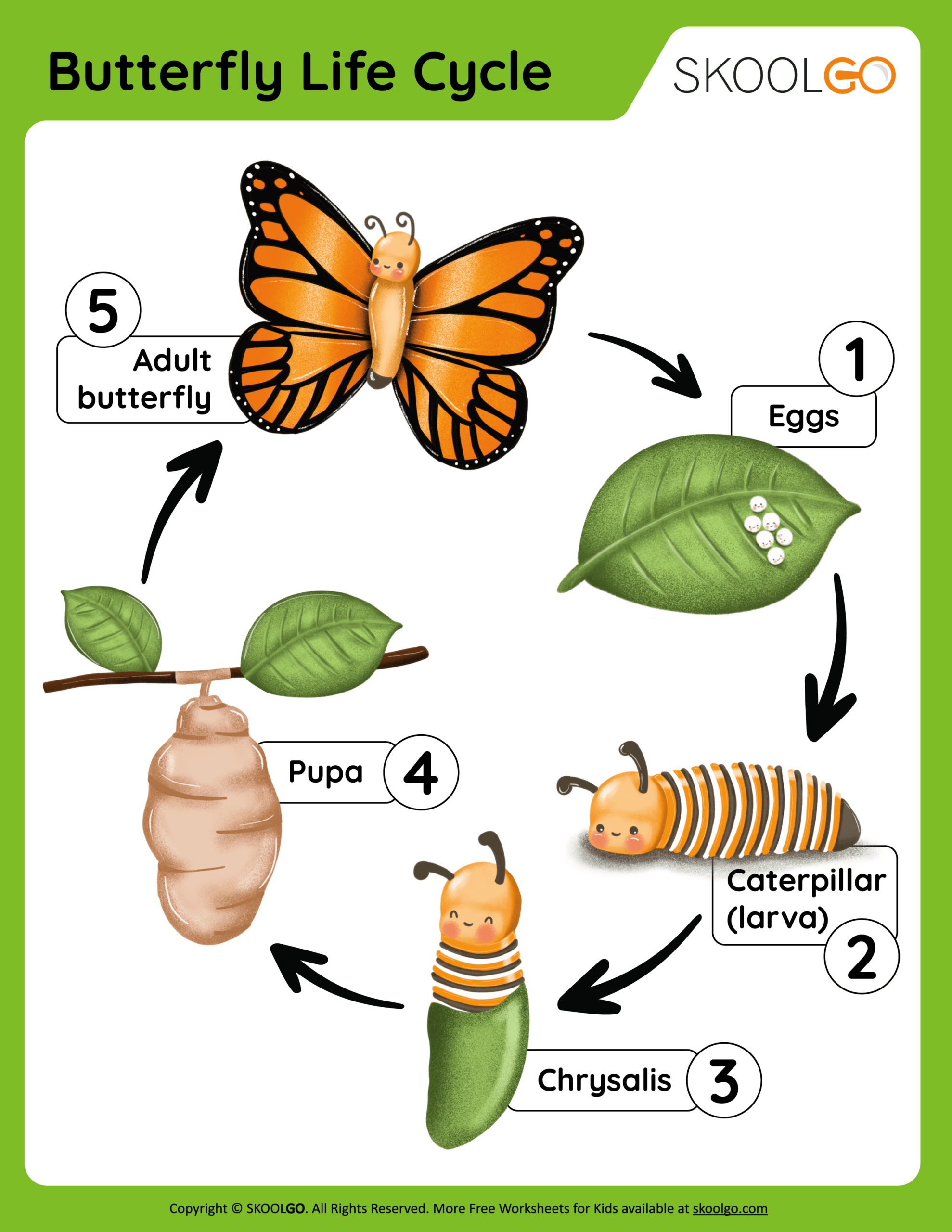 Butterfly Life Cycle - Free Worksheet - Skoolgo pertaining to Free Printable Butterfly Life Cycle Booklet
