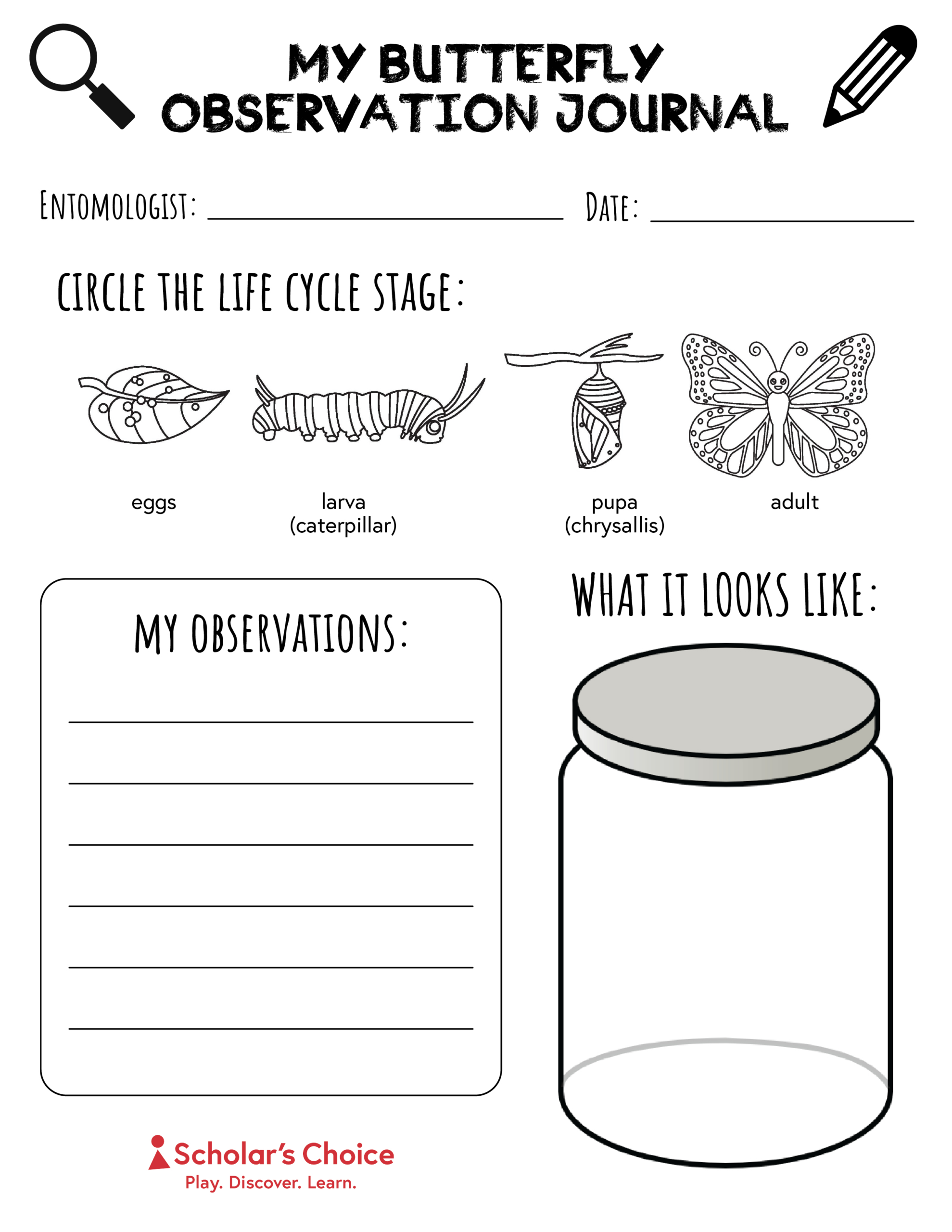 Butterfly Printables for FREE Printable Butterfly Observation Journal