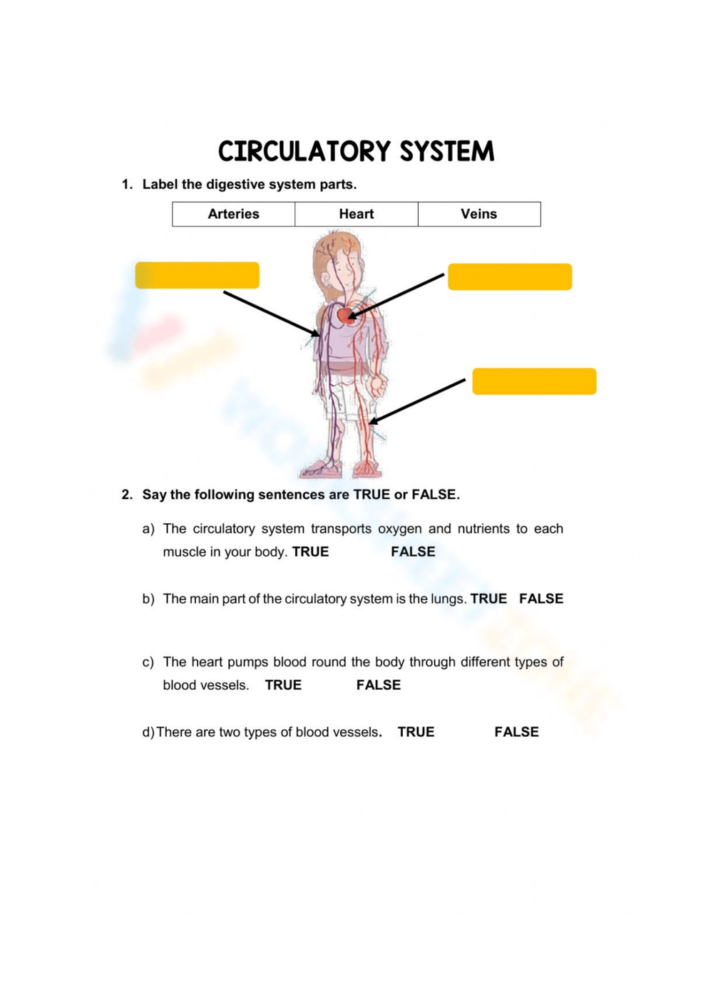 Circulatory System Worksheets in FREE Printable Circulatory System Worksheets