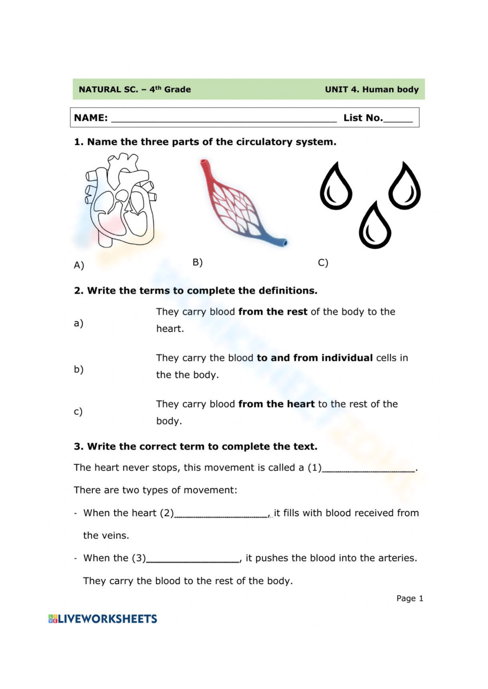 Circulatory System Worksheets within FREE Printable Circulatory System Worksheets