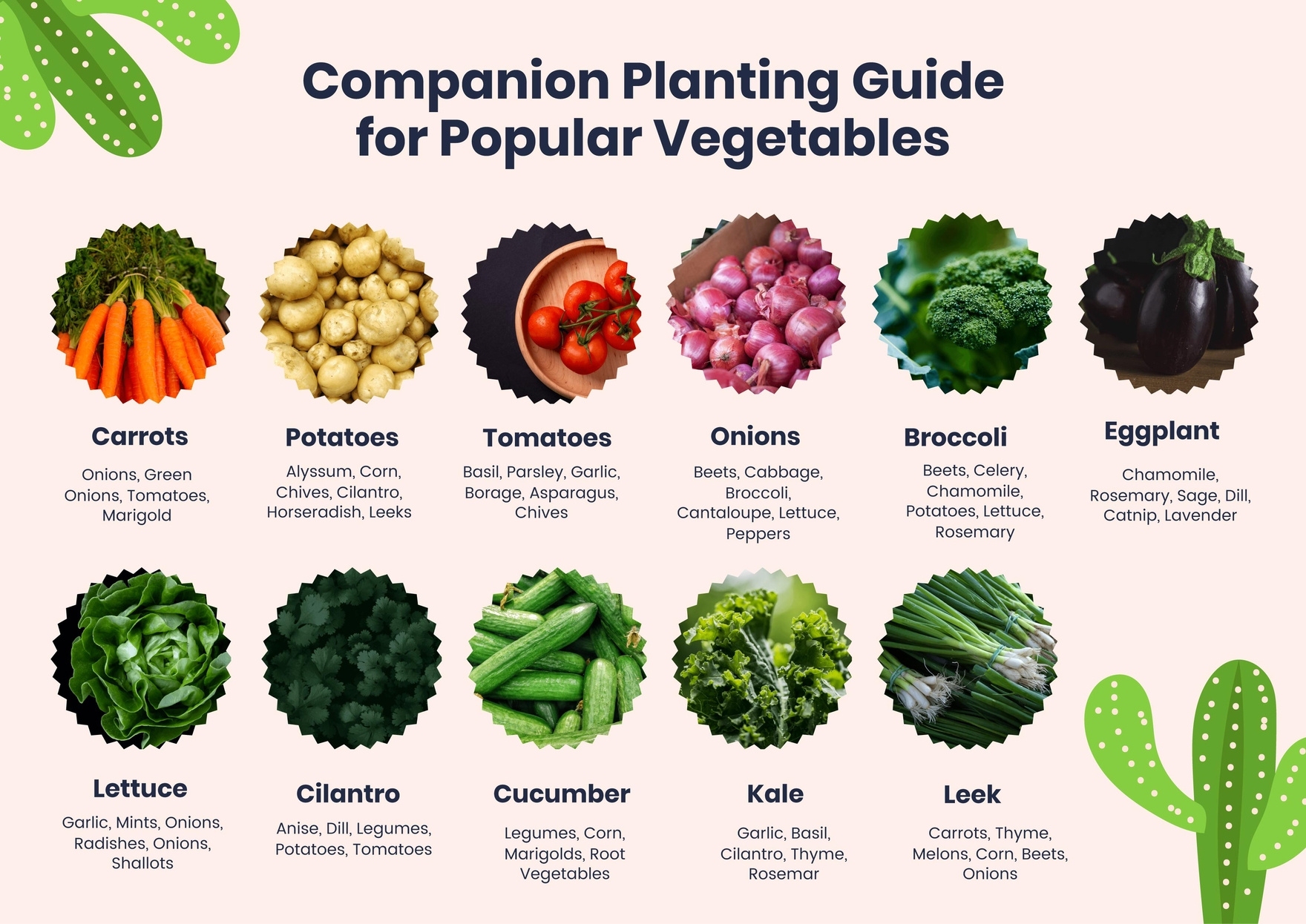 Companion Planting Chart For Popular Vegetables In Pdf intended for Free Printable Companion Planting Guide For The Garden