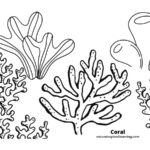 Coral Reef Coloring Pages For Kids - Nature Inspired Learning intended for Free Printable Coral Reef Pictures
