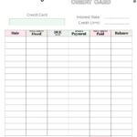 Free Printable Credit Card Payment Tracker regarding FREE Printable Credit Card Payoff Spreadsheet