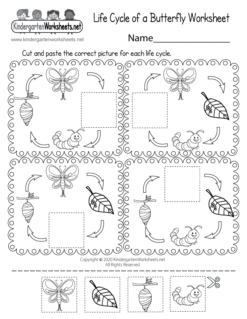 Free Printable Life Cycle Of A Butterfly Worksheet for FREE Printable Butterfly Life Cycle Booklet
