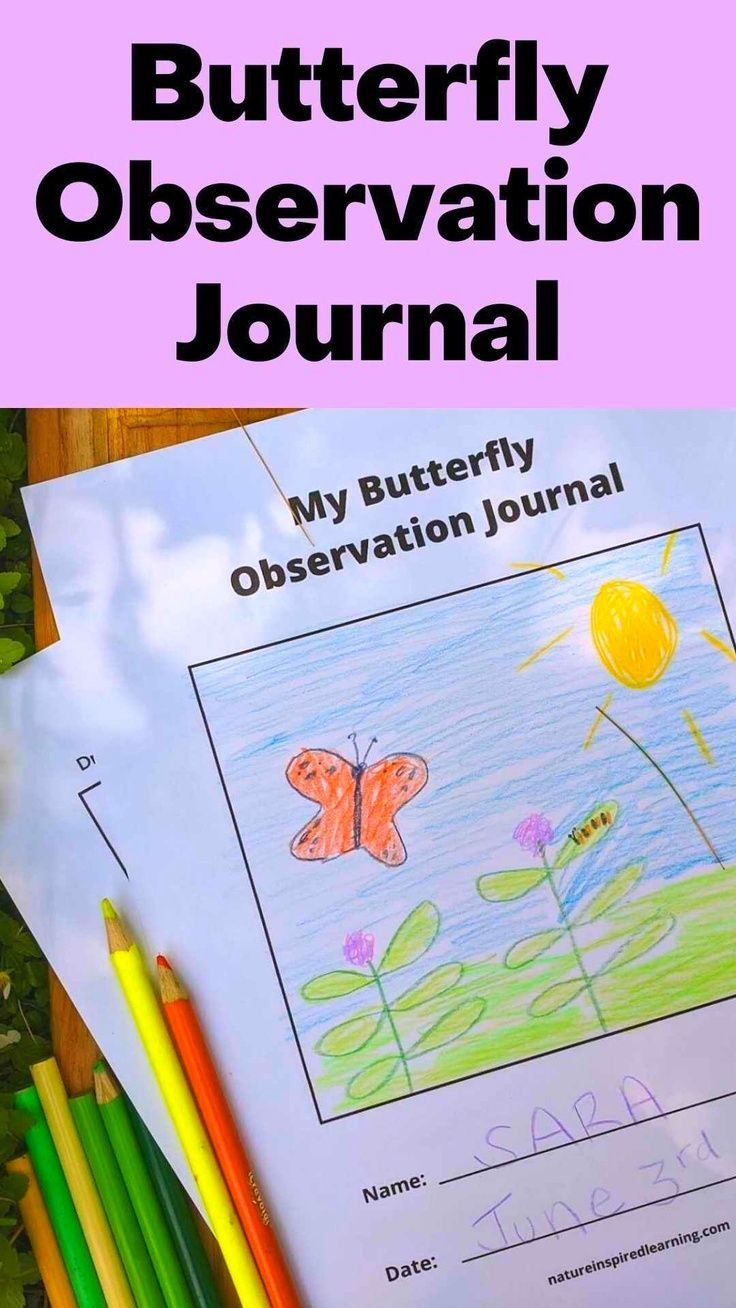 Free Printable My Butterfly Observation Journal within FREE Printable Butterfly Observation Journal