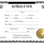 Kitten Birth Certificate Digital Download Printable, Pet Birth in FREE Printable Cat Birth Certificate Template