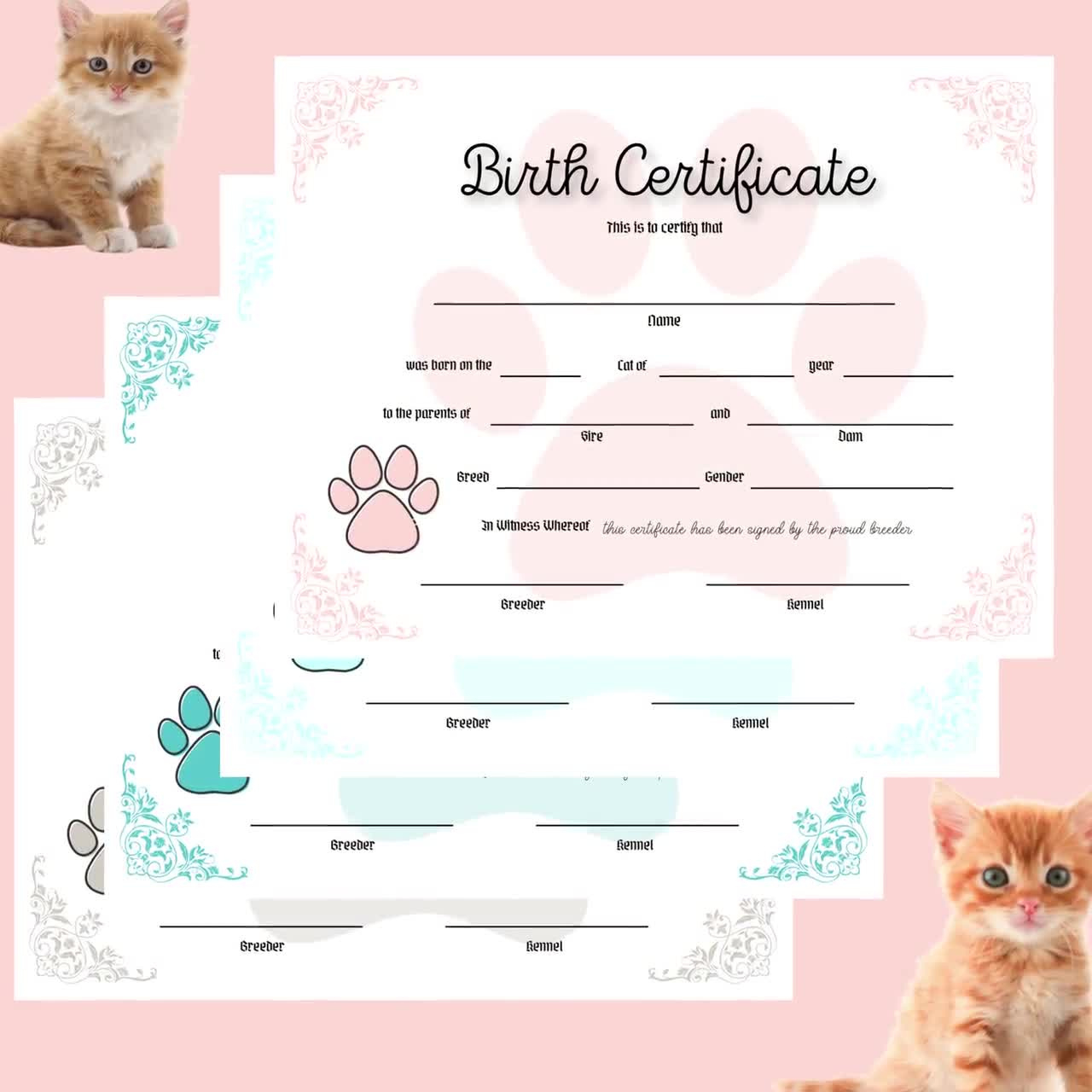 Kitty Birth Certificate, Pet Birth Certificate For Kittens - Editable Pdf Coo1 within FREE Printable Cat Birth Certificate Template
