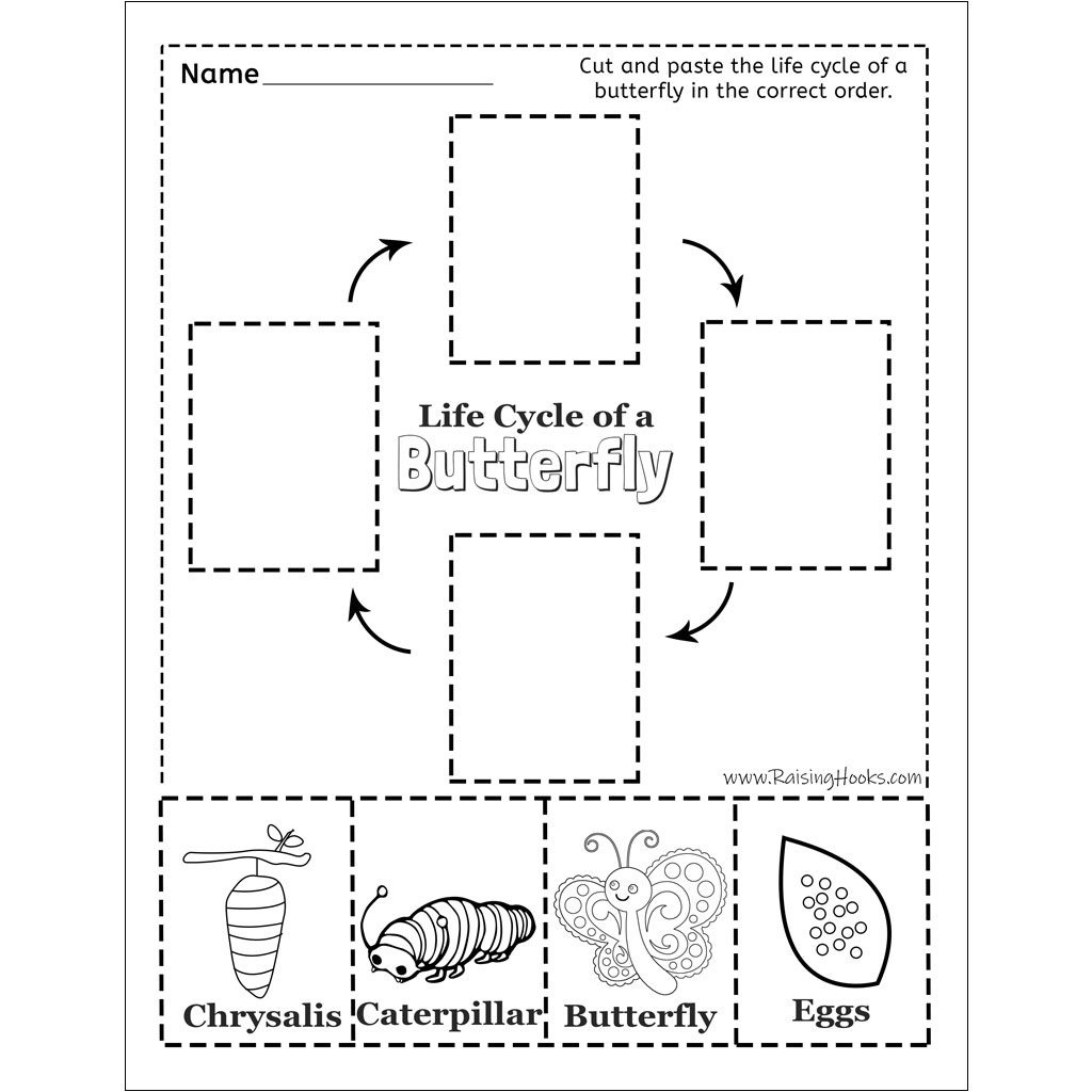 Life Cycle Of A Butterfly – Cut And Paste - Raising Hooks pertaining to FREE Printable Butterfly Life Cycle Booklet