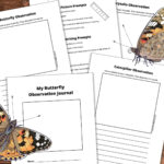 My Butterfly Observation Journal - Nature Inspired Learning in FREE Printable Butterfly Observation Journal