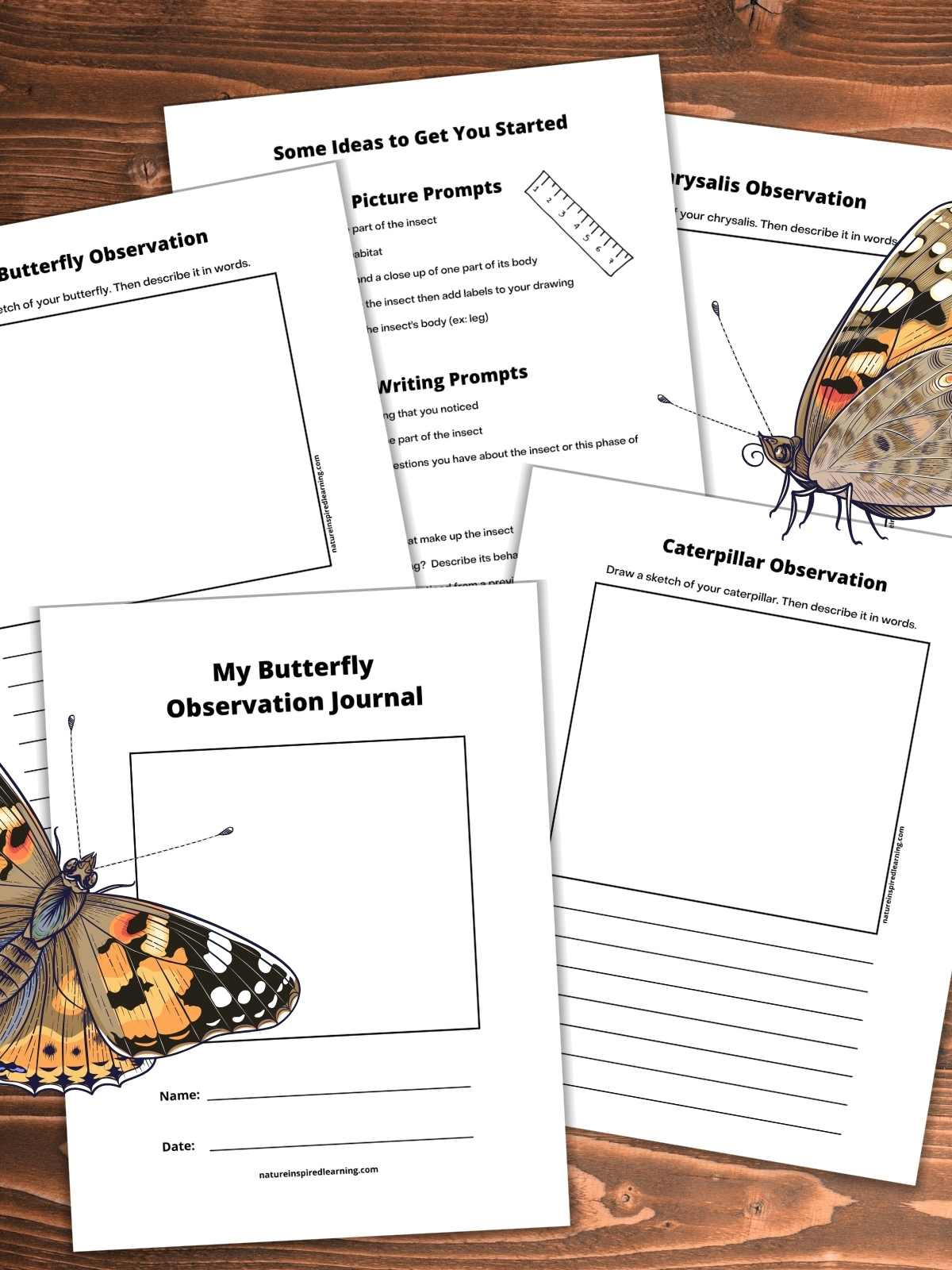 My Butterfly Observation Journal - Nature Inspired Learning in FREE Printable Butterfly Observation Journal