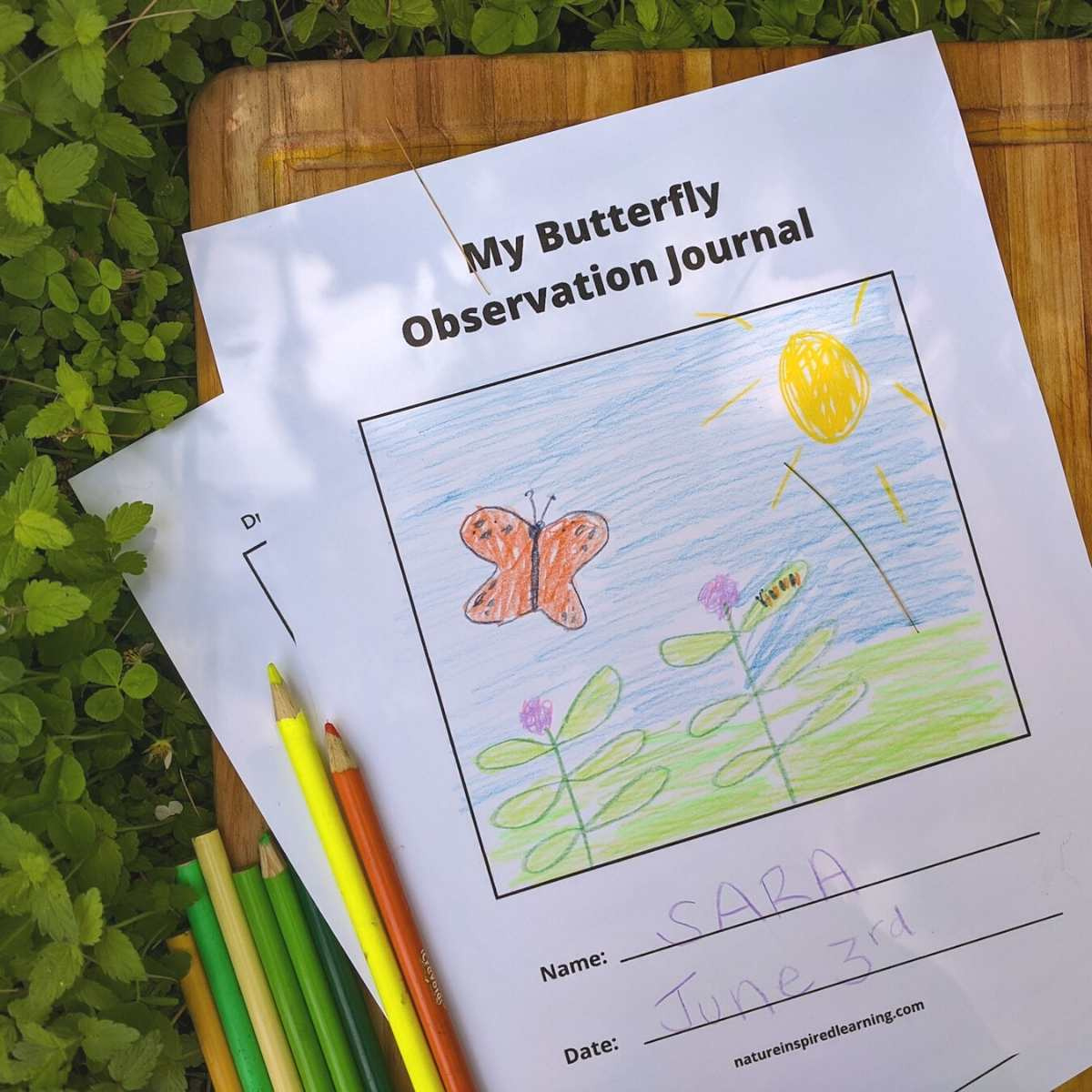 My Butterfly Observation Journal - Nature Inspired Learning with FREE Printable Butterfly Observation Journal