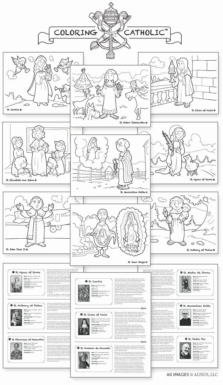 Order Of The Mass Worksheet Lovely Catholic Mass Parts In Order in FREE Printable Catholic Mass Worksheets