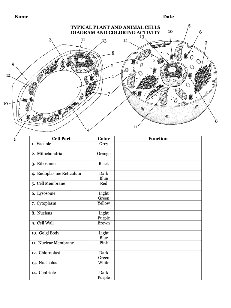 Plant Animal Cells Diagram: Fill Out &amp;amp; Sign Online | Dochub with Free Printable Cell Diagram To Label