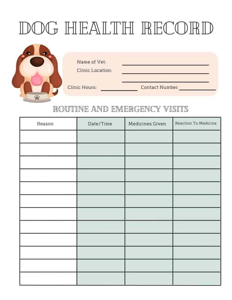 Revival Dog Health Records Printable 5 Free Printable Pet Health throughout Free Printable Canine Health Record