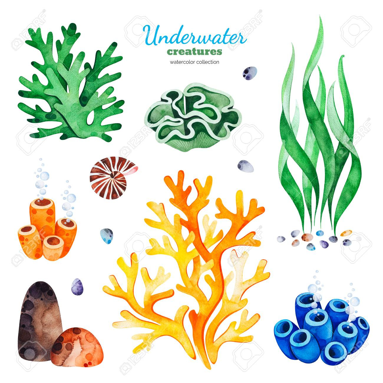 Underwater Creatures. Watercolor Collection With Multicolored with Free Printable Coral Reef Pictures
